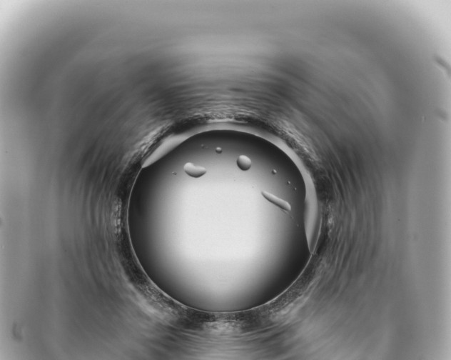 X0000095110356200712141157