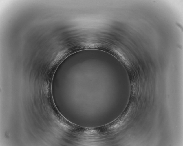 X0000095110357200712141157