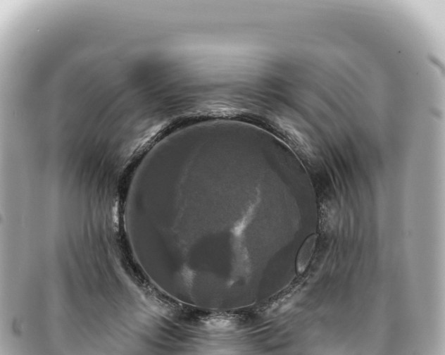 X0000095110358200712141157