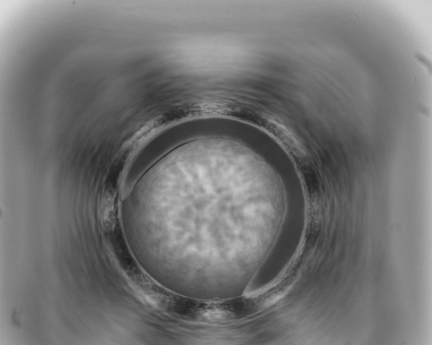 X0000095110360200712141157