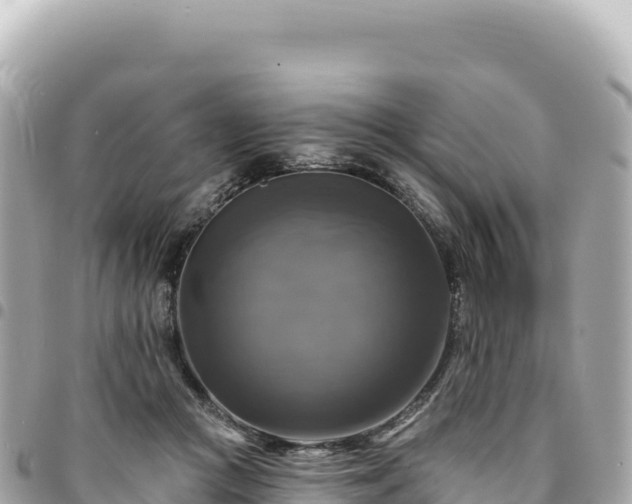 X0000095110361200712141157