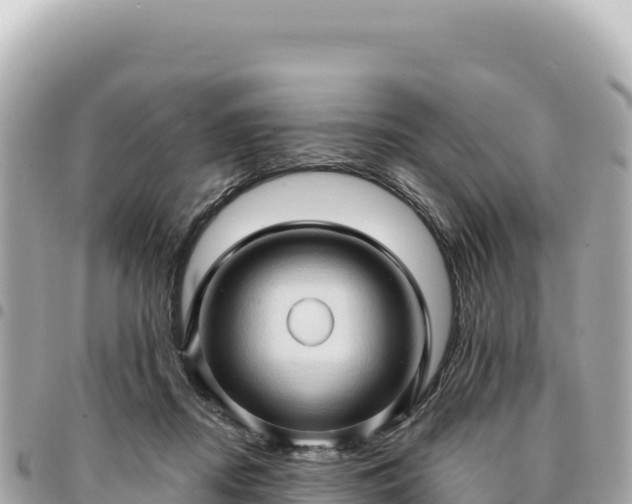 X0000095110362200712141157