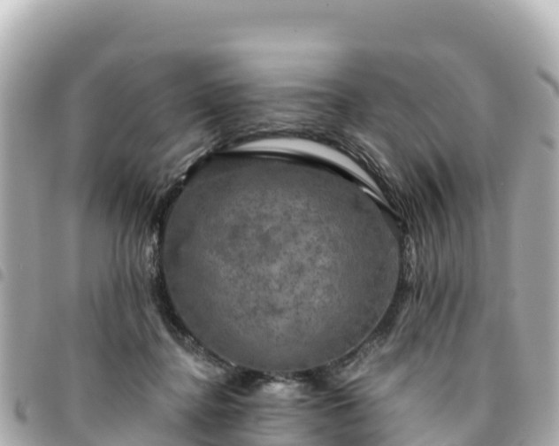 X0000095110364200712141157