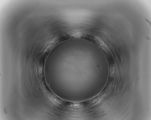 X0000095110365200712141157