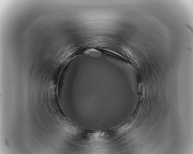 X0000095110366200712141157