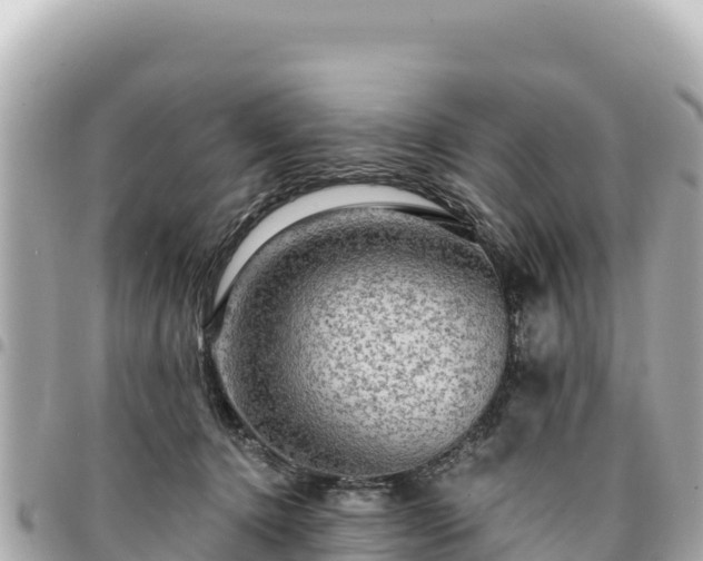 X0000095110368200712141157