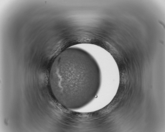 X0000095110370200712141157