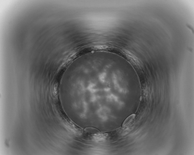 X0000095110373200712141157