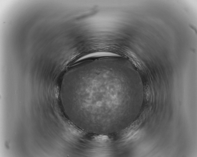 X0000095110374200712141157