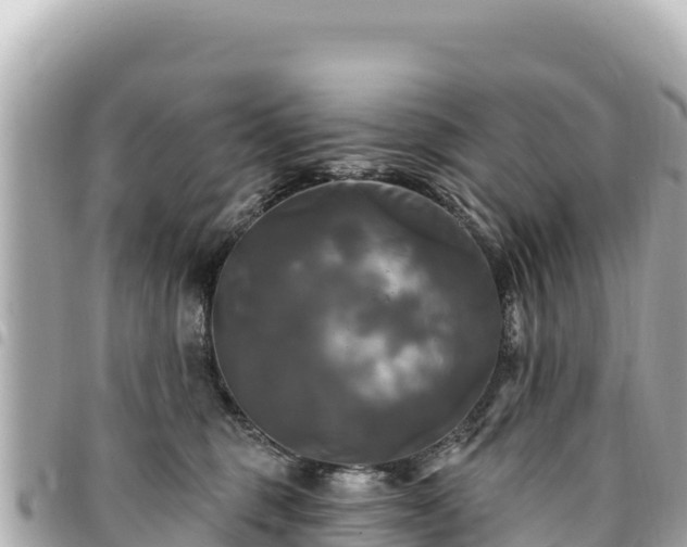 X0000095110375200712141157