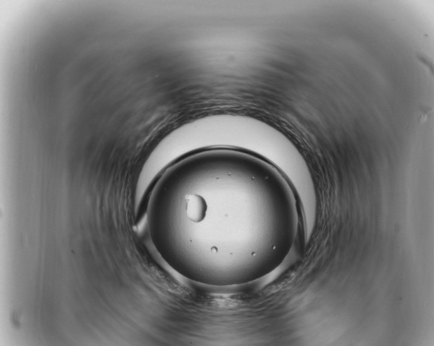 X0000095110376200712141157