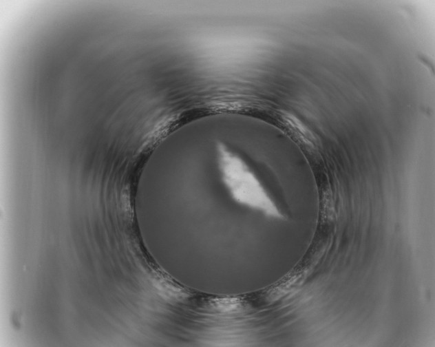 X0000095110377200712141157