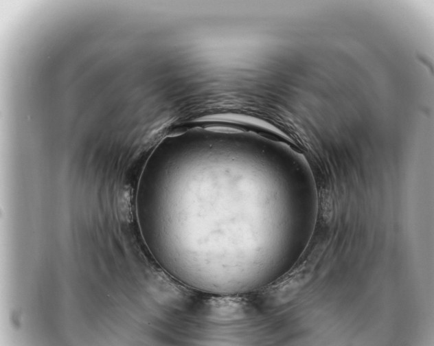 X0000095110378200712141157