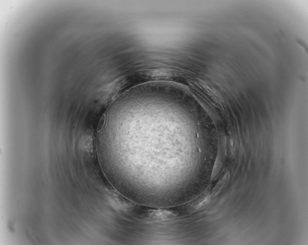 X0000095110379200712141157