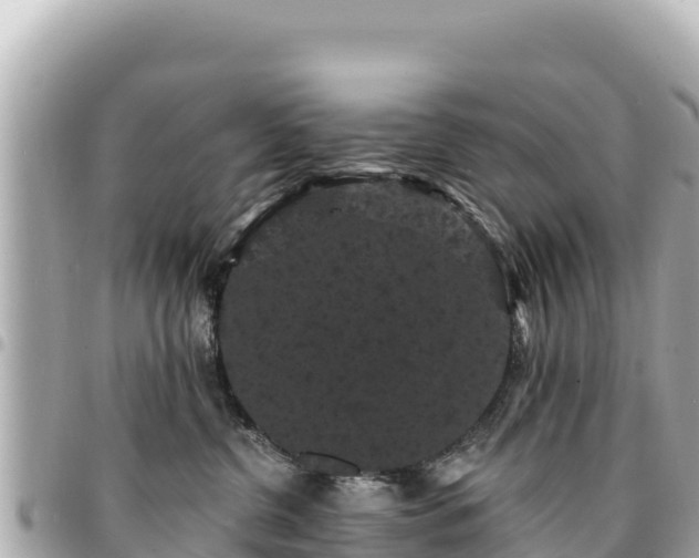 X0000095110380200712141157