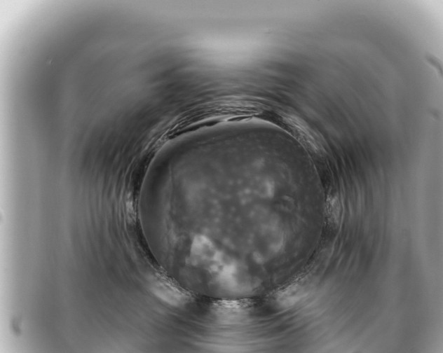 X0000095110381200712141157