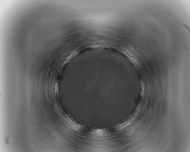 X0000095110382200712141157