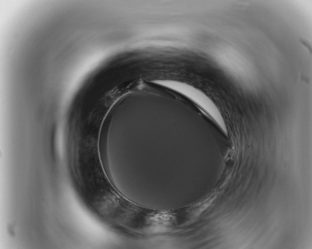 X0000095110383200712141157