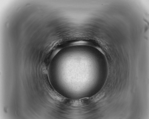 X0000095110384200712141157