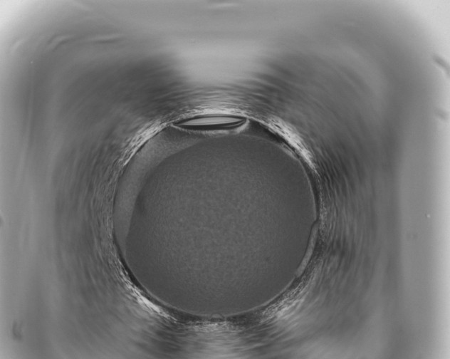 X0000095110385200712141157