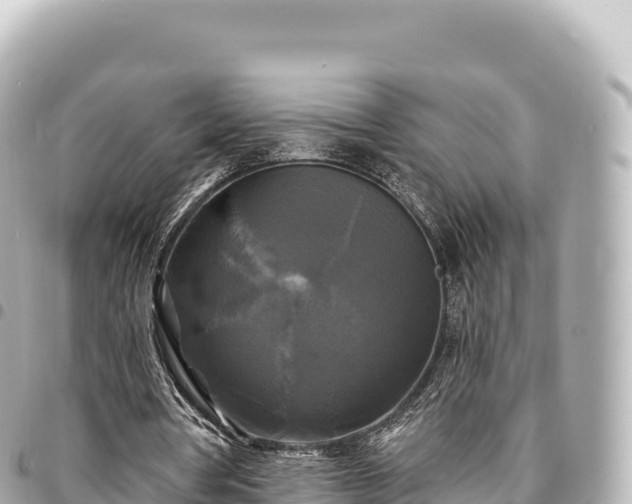 X0000095110386200712141157