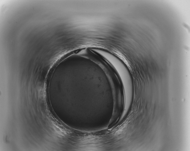 X0000095110387200712141157