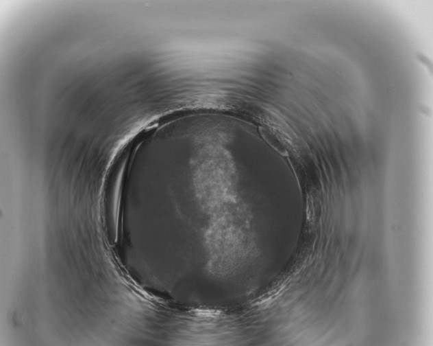 X0000095110388200712141157