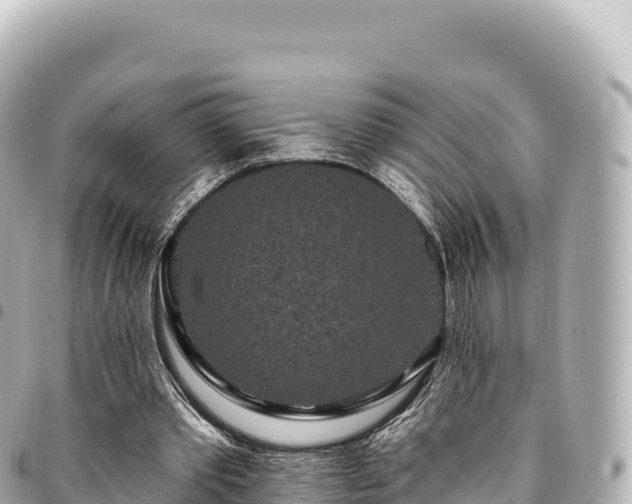 X0000095110389200712141157