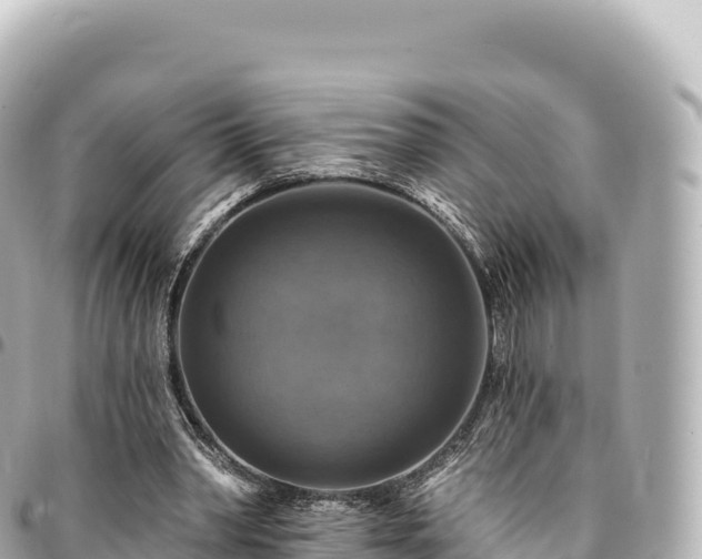 X0000095110390200712141157