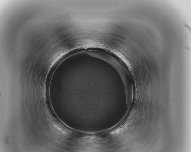 X0000095110391200712141157