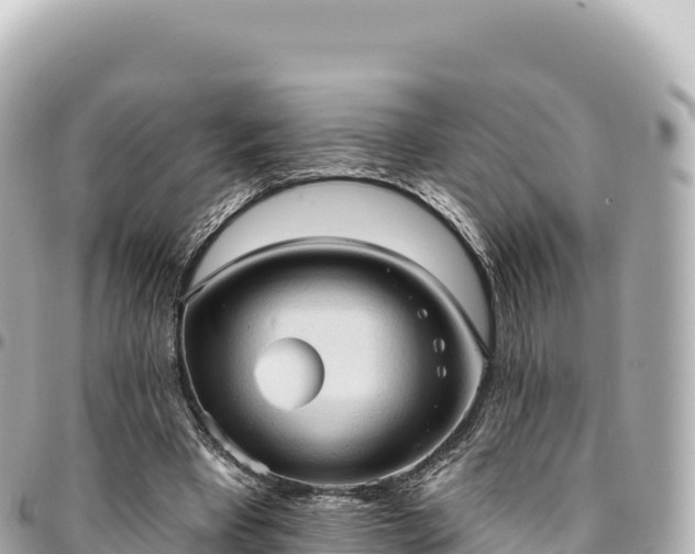 X0000095110393200712141156