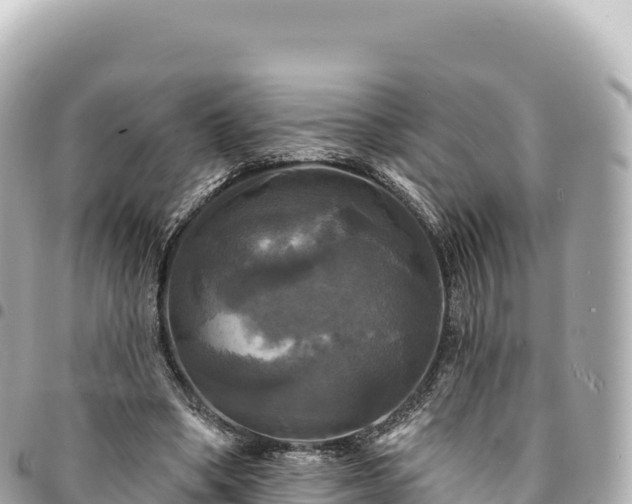 X0000095110394200712141156