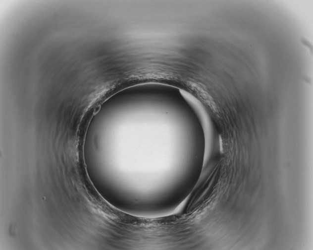 X0000095110395200712141156