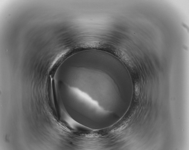 X0000095110396200712141156