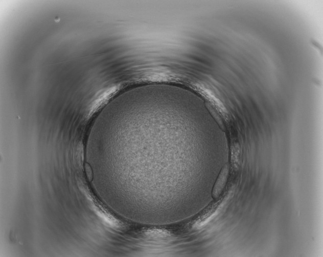 X0000095110397200712141156