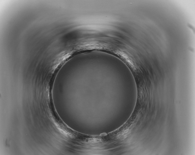 X0000095110398200712141156