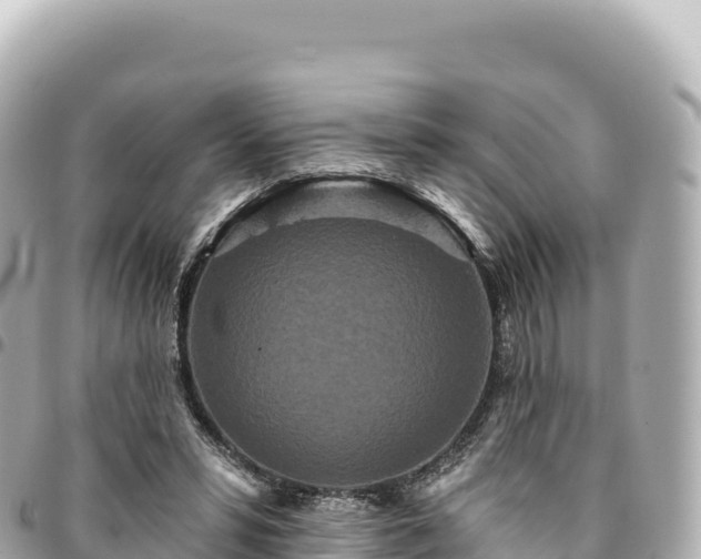 X0000095110399200712141156