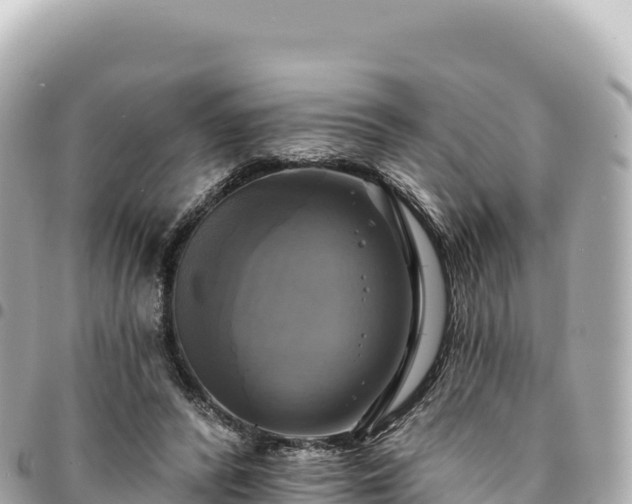 X0000095110400200712141156