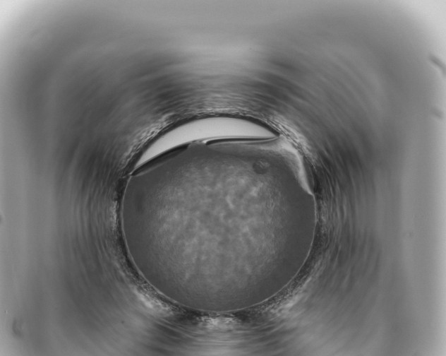 X0000095110401200712141156