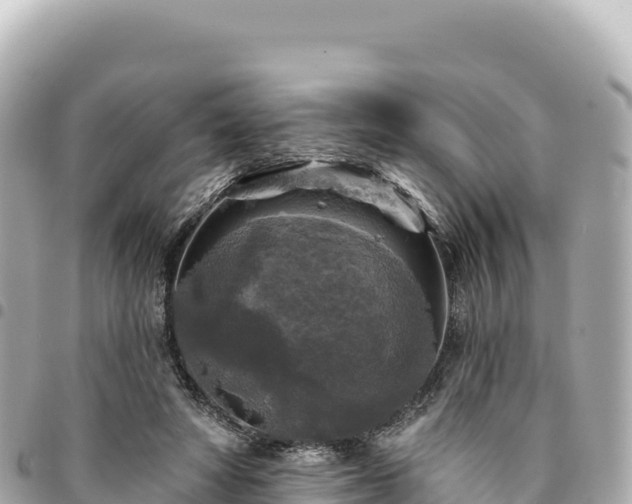 X0000095110402200712141156