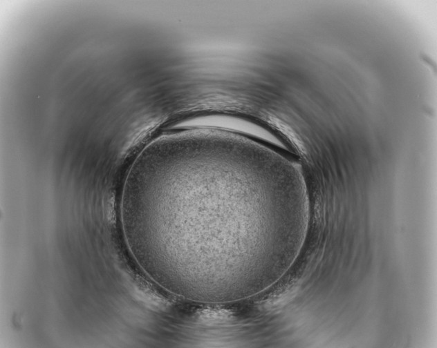 X0000095110403200712141156