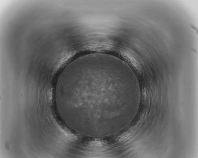 X0000095110404200712141156