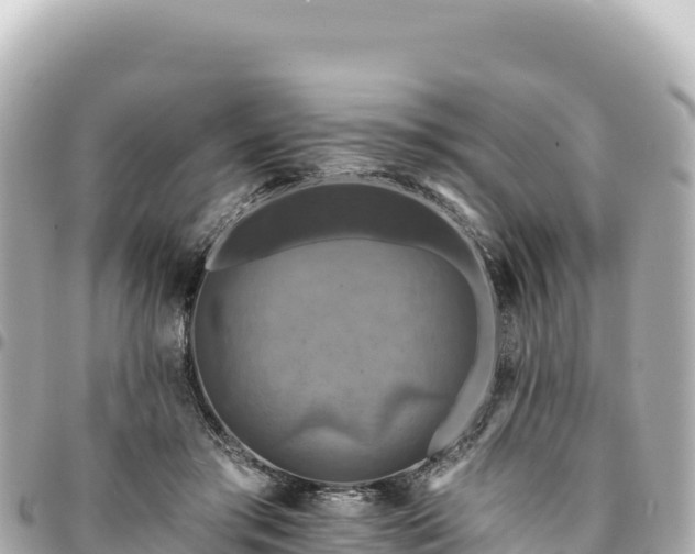 X0000095110405200712141156