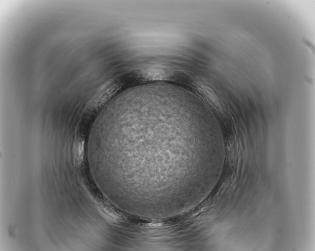 X0000095110406200712141156