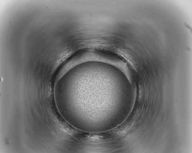 X0000095110407200712141156