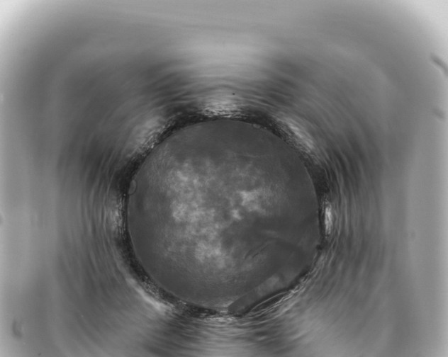 X0000095110408200712141156