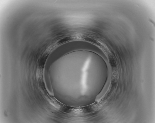 X0000095110409200712141156