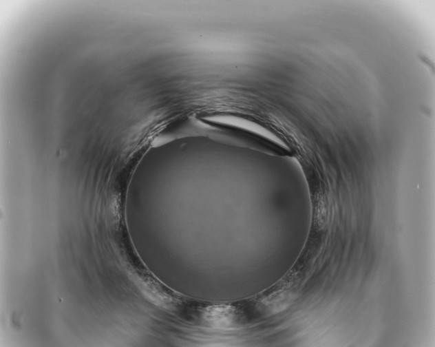 X0000095110410200712141156