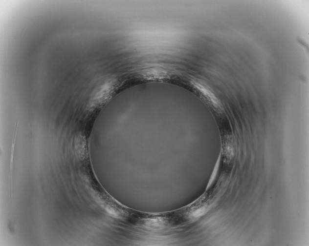 X0000095110411200712141156