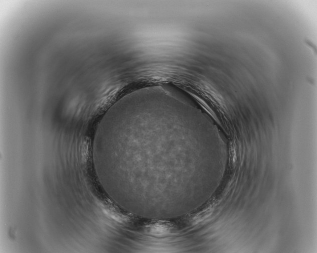 X0000095110412200712141156